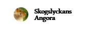 skogslyckansangora.com